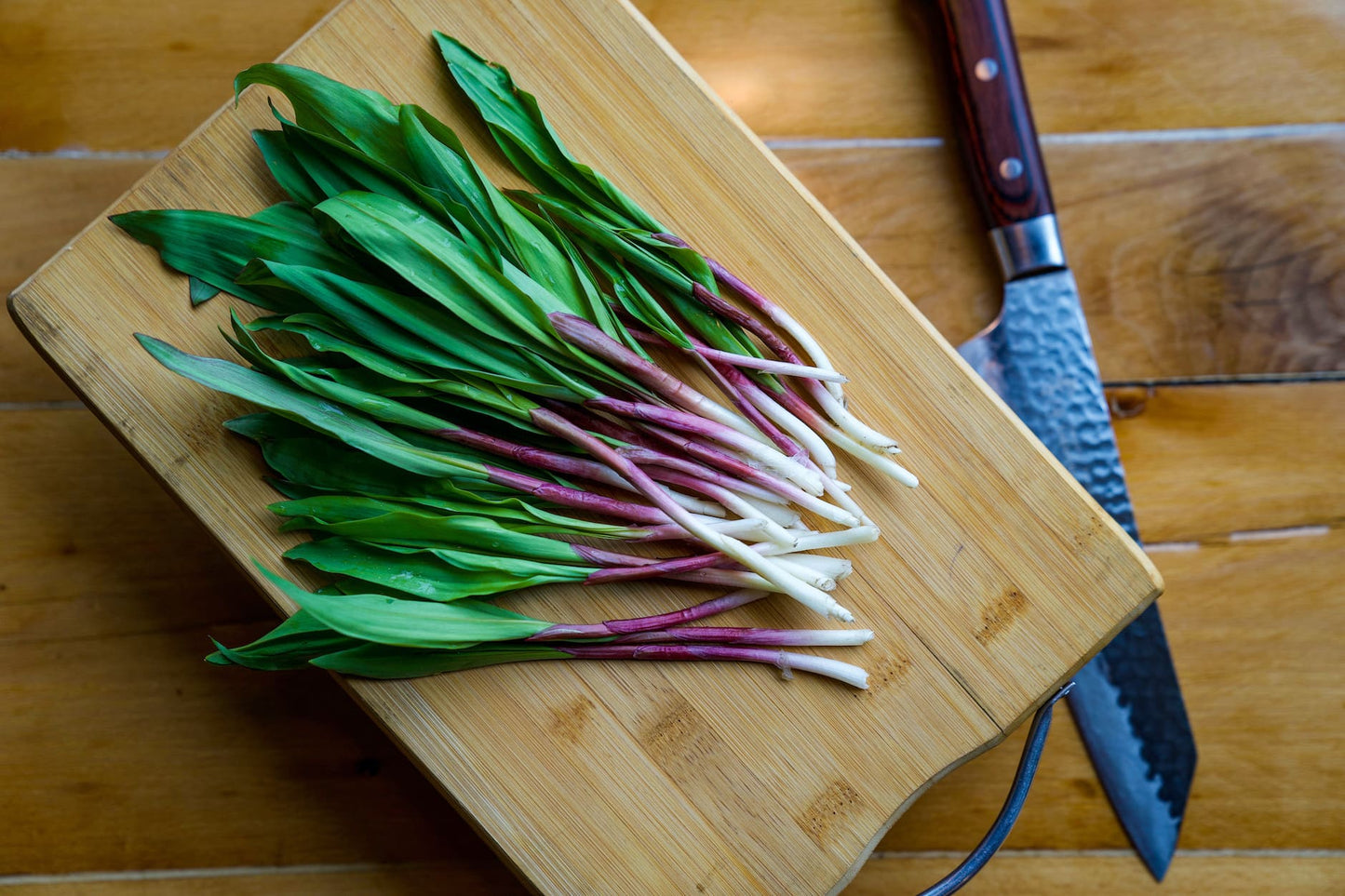 Wild Ramp Seeds