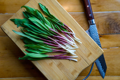 Wild Ramp Seeds