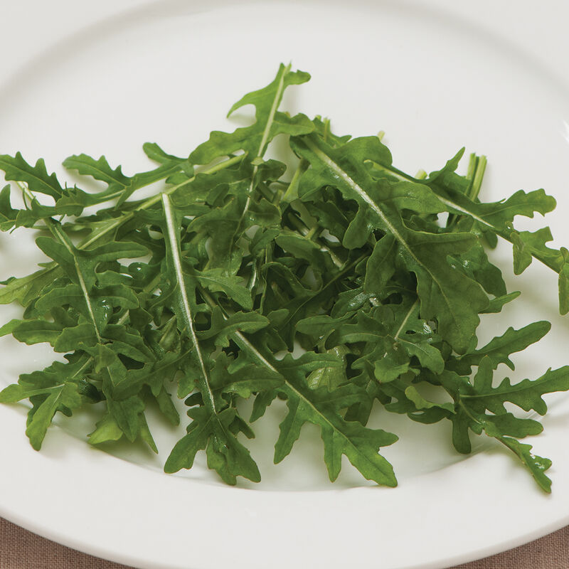 Organicgirl Baby Arugula Greens Seeds