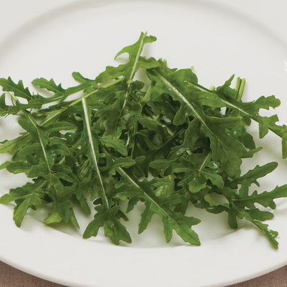 Organicgirl Baby Arugula Greens Seeds