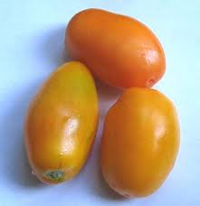 Semi di pomodoro Roma arancione