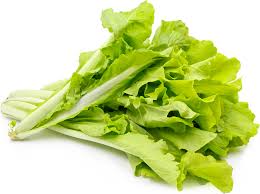 VERDURE ASIATICHE "Fun Jen" choi riccio o "Bok Choy"