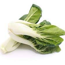 Gardeners Basics, Bok Choy Chinakohlsamen