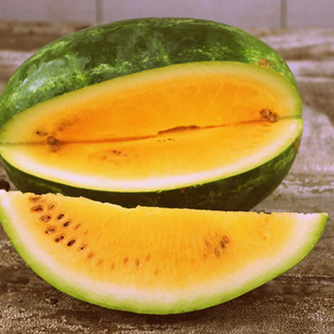 Tendersweet Orange Wassermelonenfruchtsamen