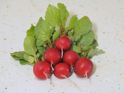 Red Round Radish Seeds for Garden