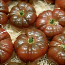 Graines de tomate Cherokee Purple