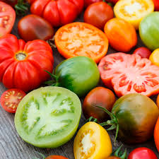 Sun Gold Hybrid Tomato Garden Seeds