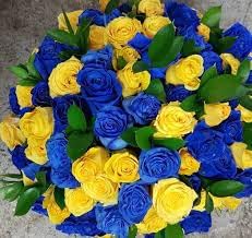 Osiria Rose Flower seeds for Planting Compact Growth Heirloom & GMO Free Seeds for Home Garden 
 
 Sale for planting in home garden