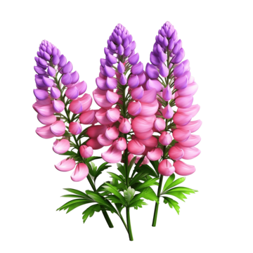 Lupine Wildflower Seeds pink & purple