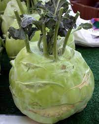 Big Daddy White Kohlrabi Seeds