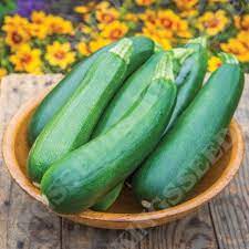 Survival Garden Black Beauty Zucchini Seeds