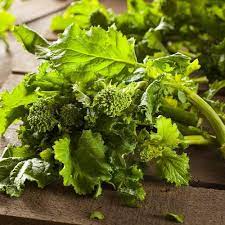 Semi di Rapa di Broccoli Biologici