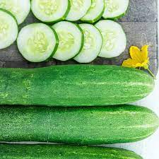 Graines de Concombre Muncher