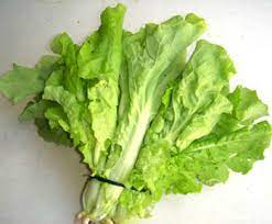 VERDURE ASIATICHE "Fun Jen" choi riccio o "Bok Choy"