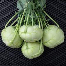 Early White Vienna Kohlrabi Seeds