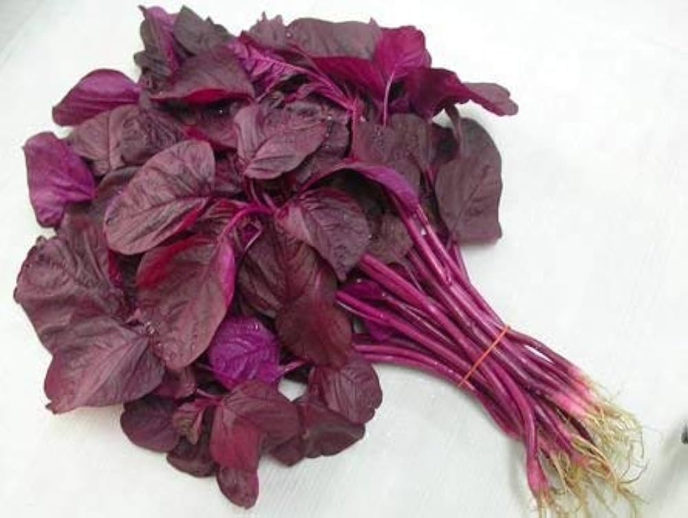 Red Spinach Seeds