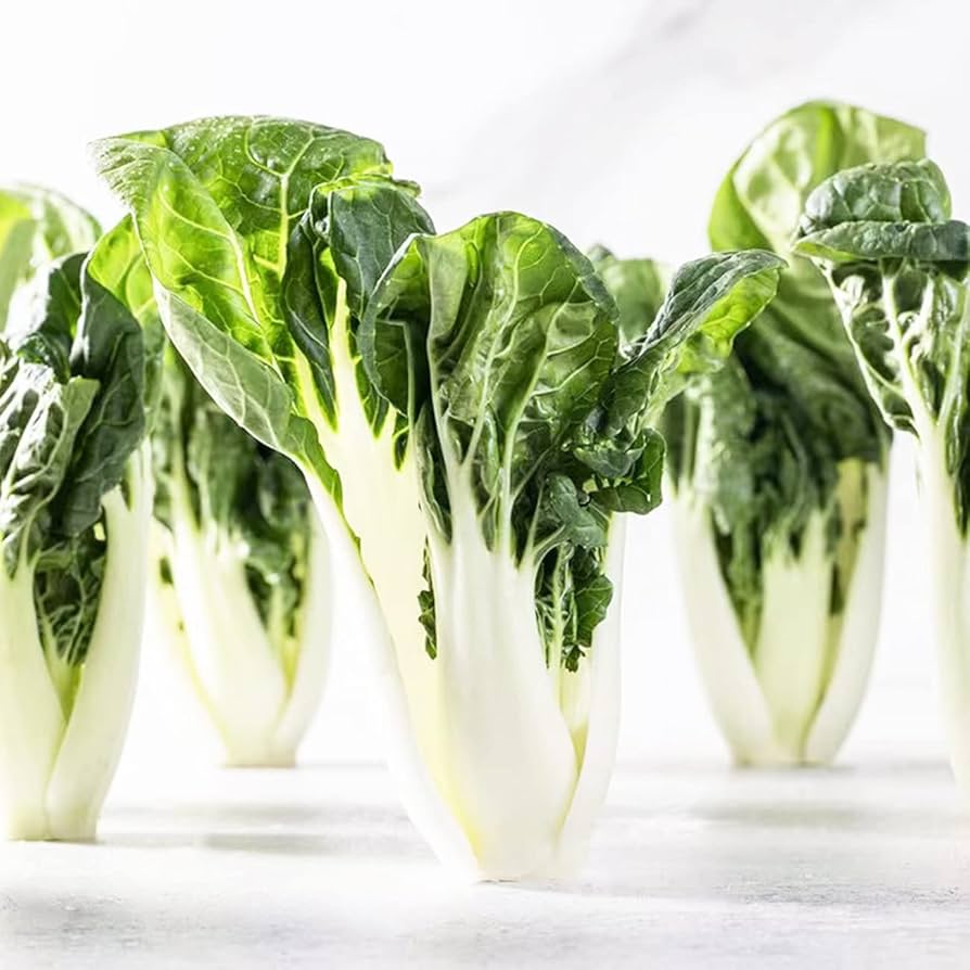 Semi di Baby Bok Choy