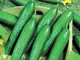 Beit Alpha Cucumber Seeds for Planting