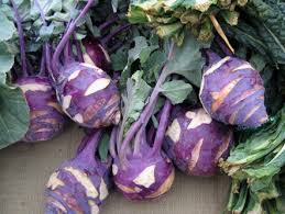 Early Purple Vienna Kohlrabi Seeds
