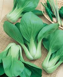 Semi di Bok Choy Benedizione di Gaea