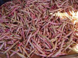 Runner Bean Heirloom Premium Seeds
