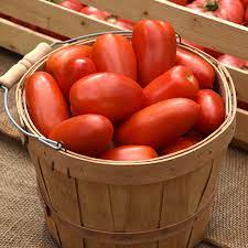 La Roma III Rote Hybride Tomatensamen