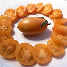 Semi di pomodoro Roma arancione
