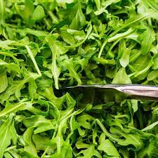 Graines de roquette patrimoniale non-OGM