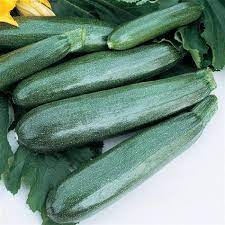 Burpee Sicheres Ding Zucchini Samen