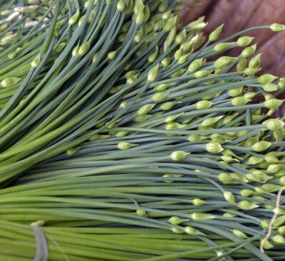 Flowering Chinese Leek Seeds