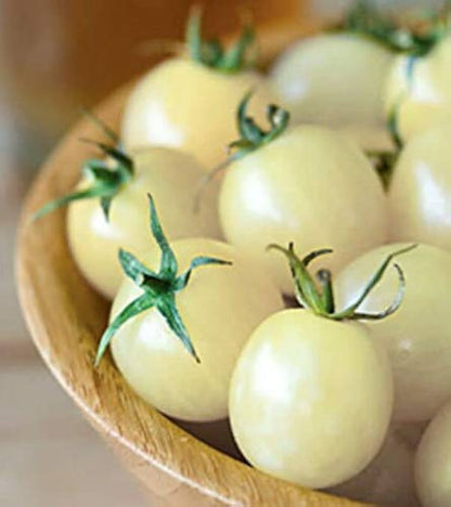 Cherry Tomato Seeds White