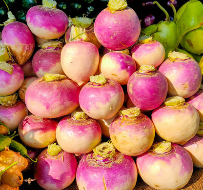 Turnip Seeds - Non-GMO