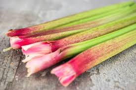 Graines de rhubarbe pour plantation - Graines de jardin