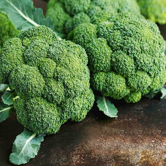 Semi di broccoli per piantare – Varietà da giardino
