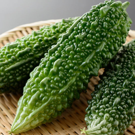 野菜栽培用ゴーヤの種