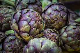 Semi di carciofo per coltivare un giardino