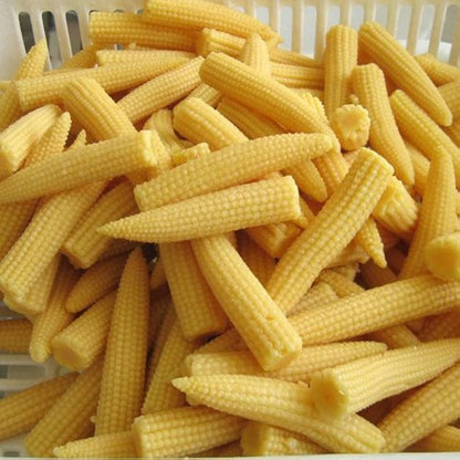 Semi ibridi di mais dolce per ortaggi
