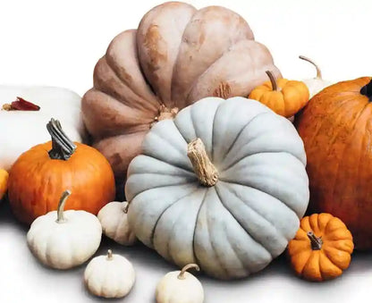 Semi miste di zucca e verdure