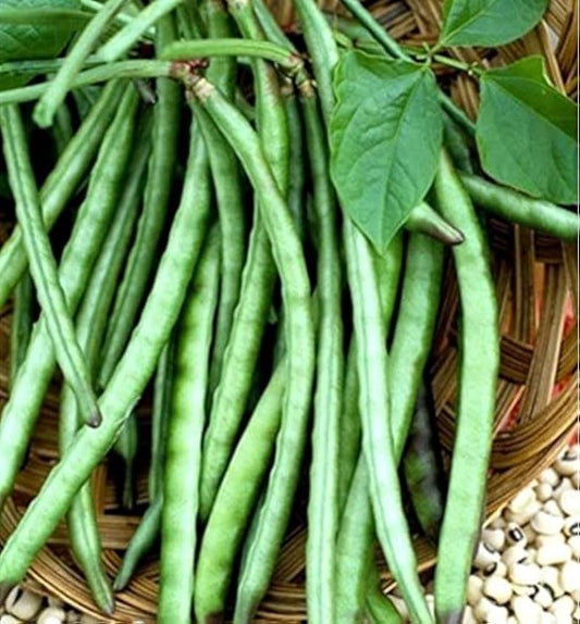 Black Eyed Peas Vegetable Seeds