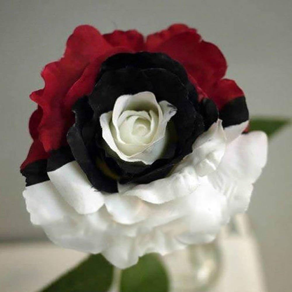 Splendid Rare Red, White, and Black Rose Flower seeds for Planting - Cottage Garden Essential, Heirloom & GMO Free Seeds for Home Garden