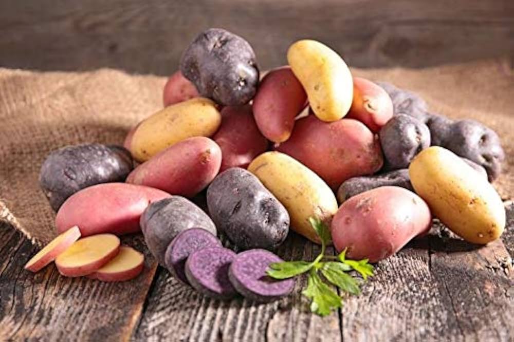 Fingerling Potato Mixed Vegetable Seeds for Planting