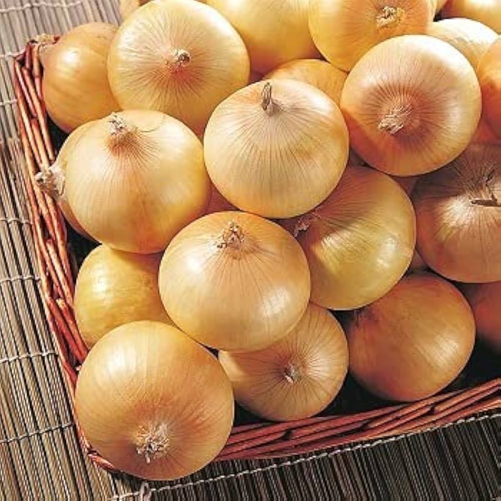Sweet Yellow Onion Vegetable Seeds for Planting – Heirloom, Non-GMO, Easy to Grow, Annual