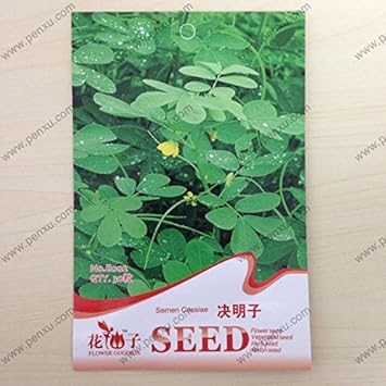 Semen Cassiae Flower seeds for Planting - Long Bloom Season, Heirloom & GMO Free Seeds for Home Garden
 
 Sale for planting in home garden.