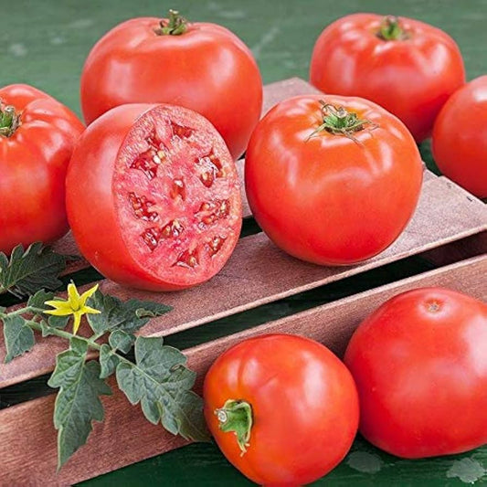 Early Goliath Tomato Vegetable Seeds