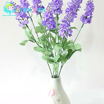 Purple Hoary Stock Flower seeds for Planting - Compact Growth, Heirloom & GMO Free Seeds for Home Garden
 
 Sale for planting in home garden