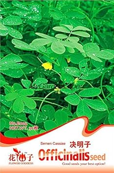 Green Semen Cassiae Flower seeds for Planting - Seasonal Bloomer, Heirloom & GMO Free Seeds for Home Garden
 
 Sale for planting in home garden
