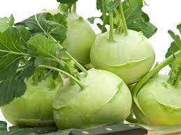 Early White Vienna Kohlrabi Seeds