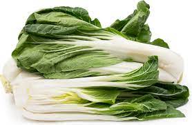 Gardeners Basics, Bok Choy Chinakohlsamen