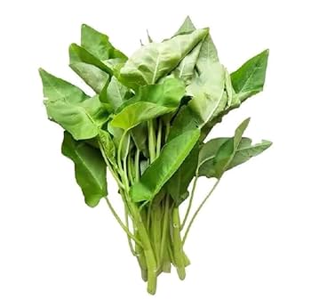 Kong Xin Cai (Kangkong) Water Spinach Seeds