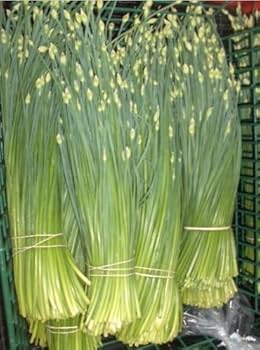 Flowering Chinese Leek Seeds